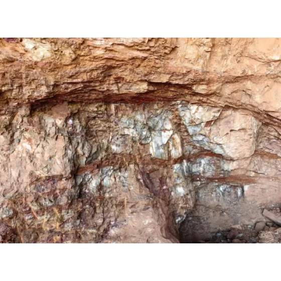 Mineral Processing Test of Polymetallic Oxide Ore