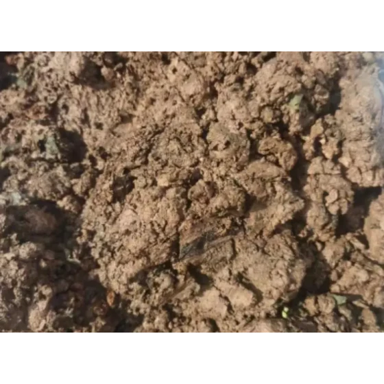 Beneficiation Test of Metallic Oxide Ore Slimes