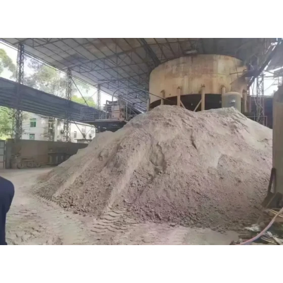 Lithium Extraction Test from Low-Grade Clay-Type Lithium Ore