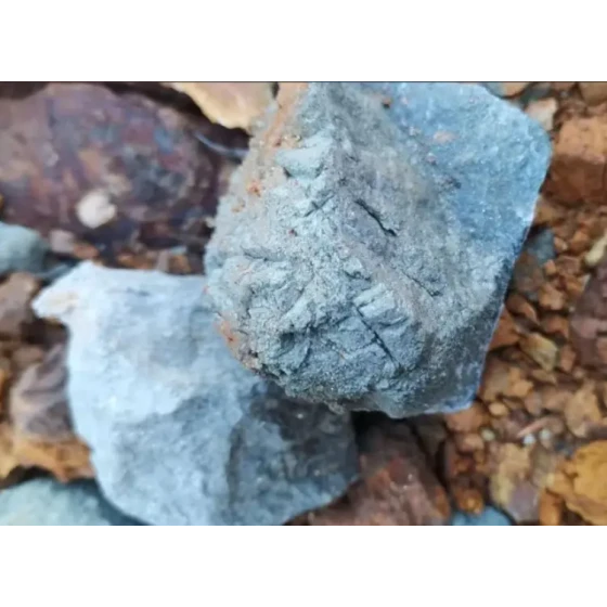 Recovery Test from High-Sulfur Gold Tailings