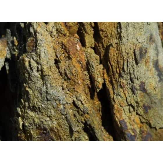 Gold Extraction Test by Cyanide Leaching