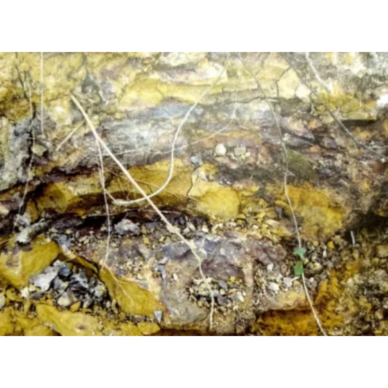 Leaching Process Test for Refractory Associated Ores