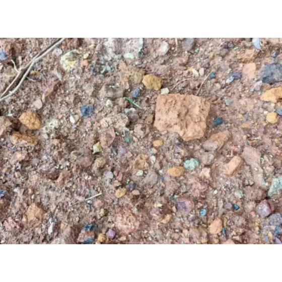 Mineral Processing Test of Lead-Zinc Oxide Ore