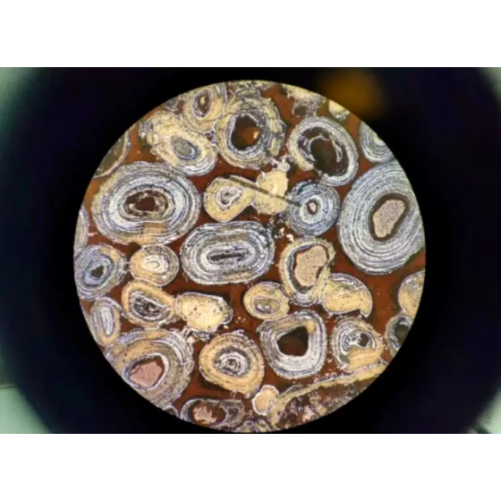 Dephosphorization and Desilication Test of Oolitic Hematite